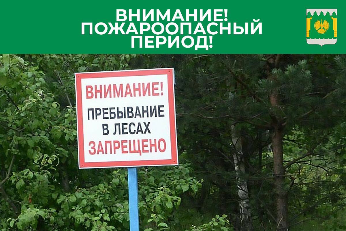 Установлен 5 класс чрезвычайной пожароопасности с 24 мая.